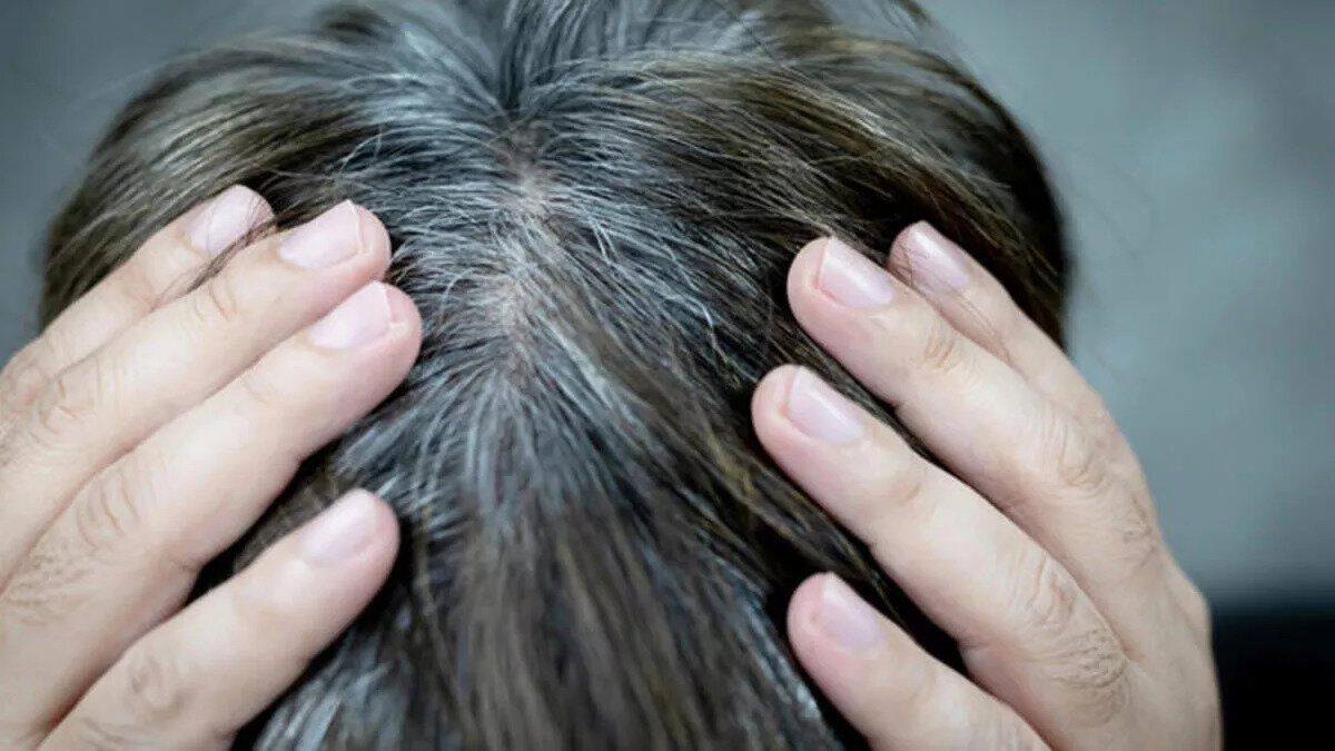 İbn-i Sina saç beyazlamasıyla ilgili verdiği doğal yağlardan oluşan formülünü hemen deneyebilirsiniz. <br><br>