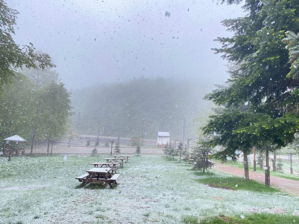 Sabah erken saatlerde başlayan kar yağışı tipi şeklinde yağarken, yaylada yeşil alanlar beyaza büründü. 