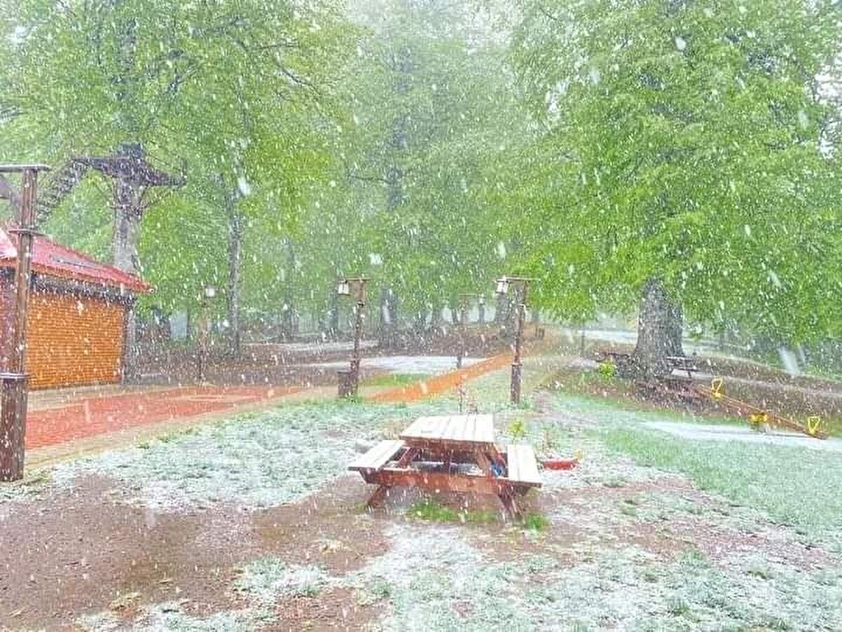 Bölgede yaşayanlar, yeşil alanlara yağan karı cep telefonu kamerasıyla görüntüledi. 