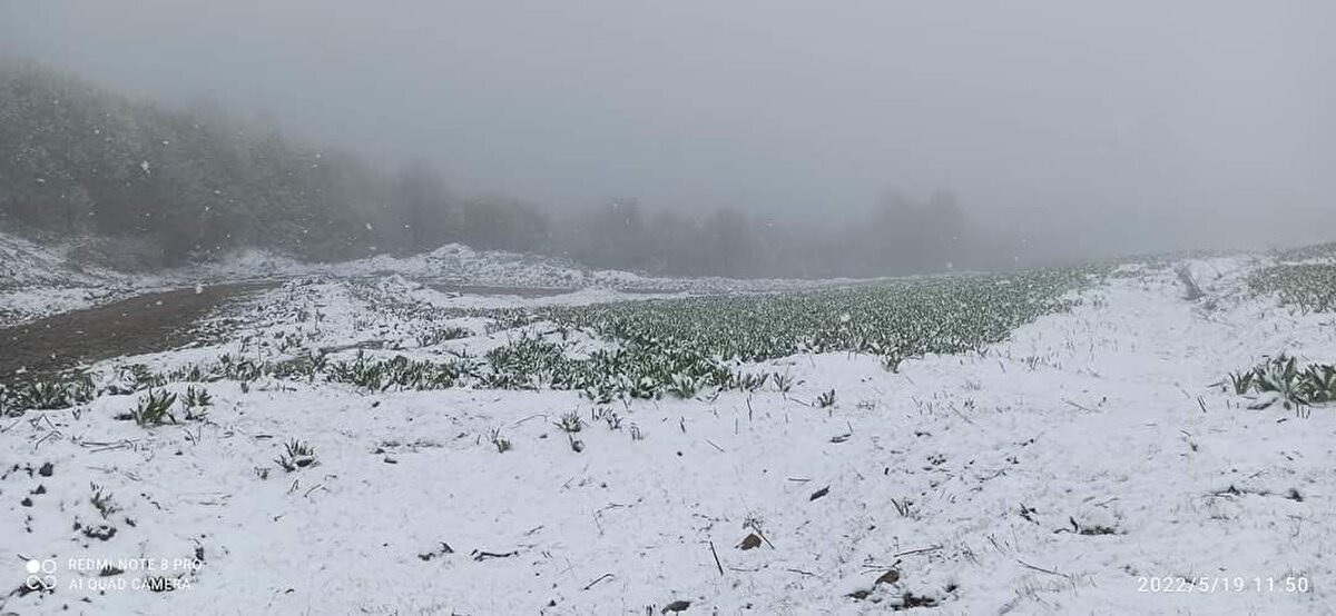 Yüksek kesimlerde etkili olan kar yağışı, vatandaşlar tarafından da cep telefonu ile görüntülendi.