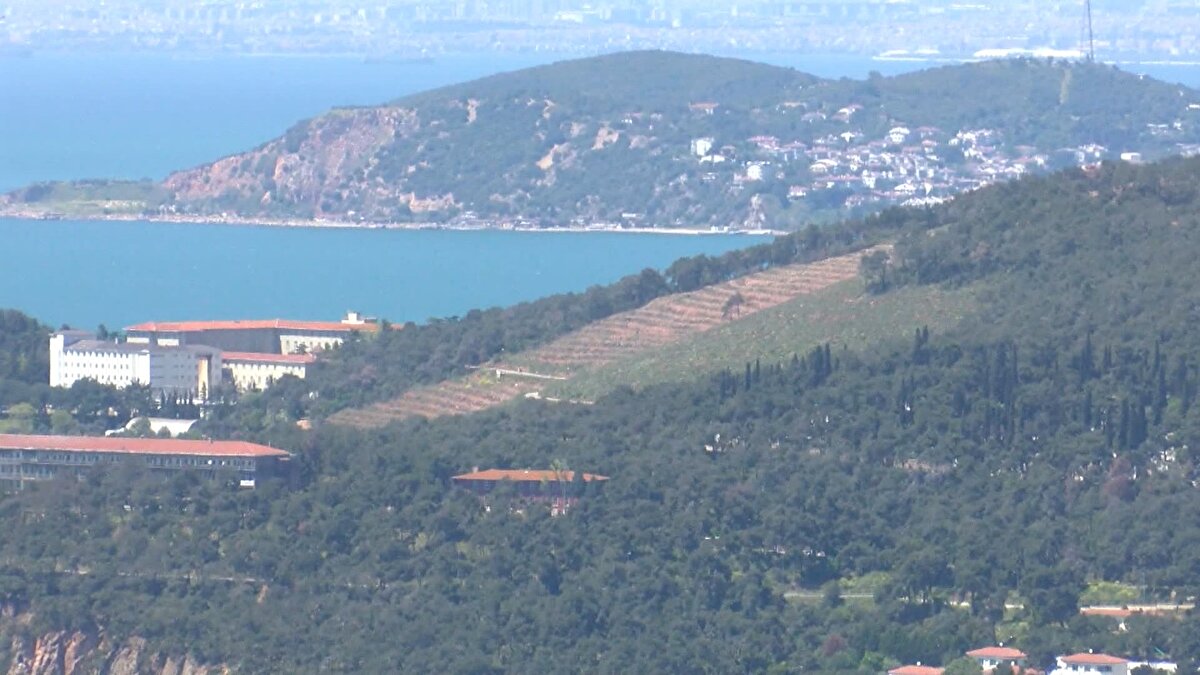 Alanın temizlenmesinden sonra fidanlar toprakla buluşturuldu. Geçen yıl bölgeye dikilen fidanlar büyümeye başladı.<br>