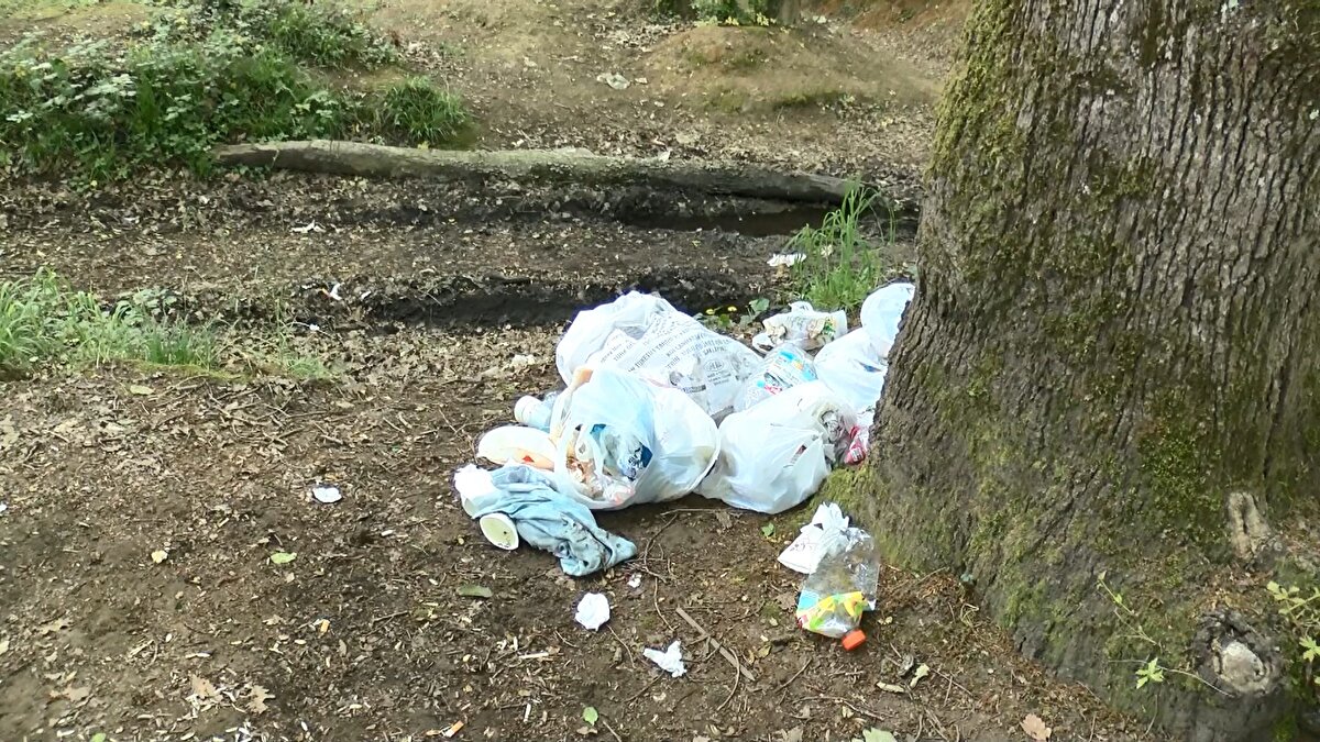Birçok memeli ve kuş türünün doğal yaşam alanı olan Belgrad Ormanı'nda, pikniğe gelenlerin yanlarında getirdikleri yiyecekleri ve plastik atıklarını bırakması kirliliğe yol açtı.