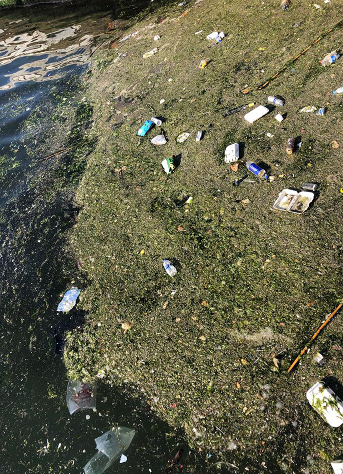 Beton kanalların yeniden toprak kanala dönüştürülmesi gerektiğini belirten Dr. Kesici ayrıca sediment taşınmasının artışına engel olunabileceğini de söyleyerek, "Toprak kanallarda düzenli aralıklarla yapılacak temizlik, körfezi temizlemekten çok daha kolay. Ayrıca körfezin koku sorunu ve ekosistemi de korunmuş olacaktır" dedi.<br><br>