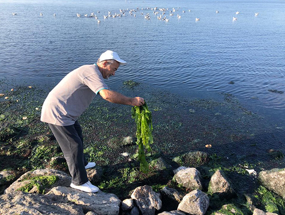 TTKD bilim danışmanı, emekli akademisyen Dr. Erol Kesici, İzmir Körfezi'nin çok hassas yapıya sahip koy özelliğinde olduğuna dikkat çekti.<br><br>