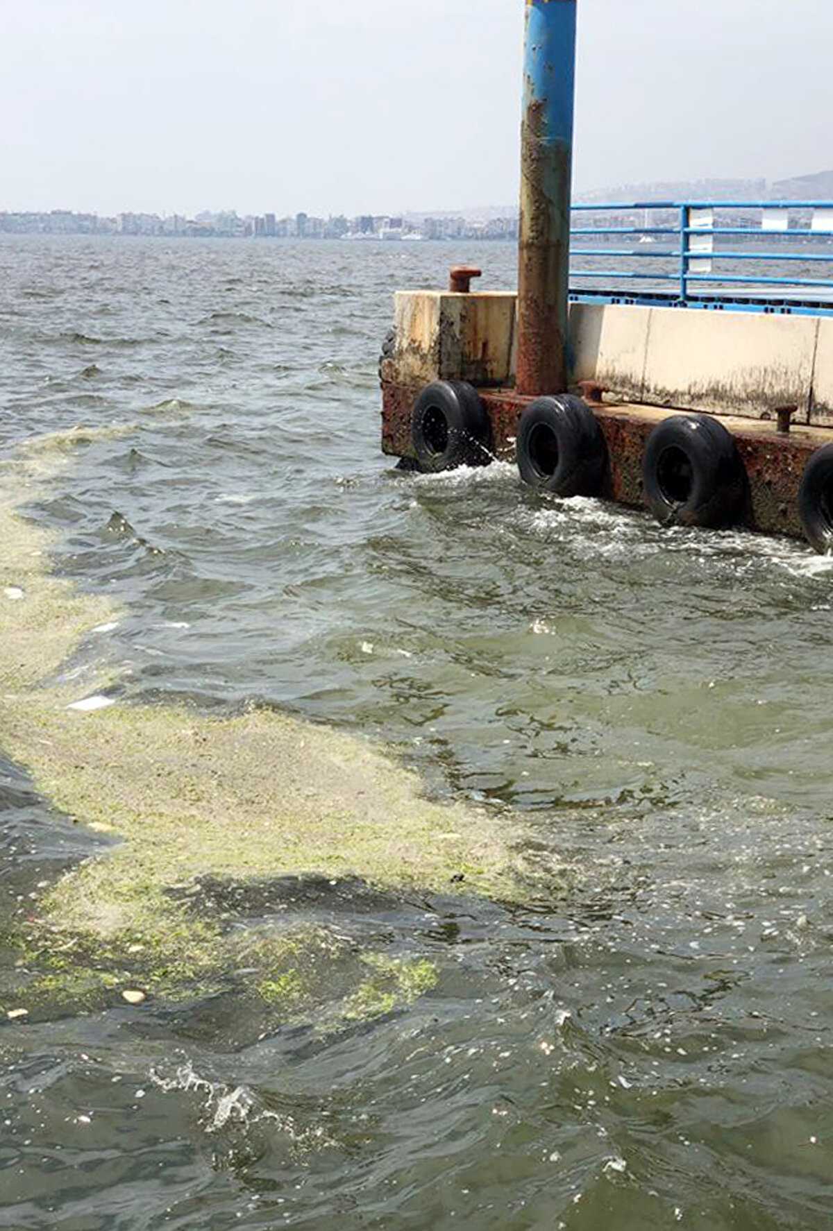 Dr. Kesici, körfezin ağırlaşan kirlilik yükünden kurtarılması için şu önerilerde bulundu:<br><br>"Para cezası çözüm değil. Öncelikle körfeze atık su bırakılmasına son verilmeli. Derelerin temizlenmesi ve denize ulaşan insan kaynaklı deşarjların yapılmaması ve atık bıraktığı bilinen yerlerin sıklıkla denetimi gerekmektedir. Arıtılmamış suları taşıyan beton kanalları sağlamlaştırmak ve kireçlemek yanlış bir yöntemdir. Biyolojik çeşitliliği az olan bitki artışının giderek yoğunlaştığı körfeze, nitrat ve benzeri besi elementlerinin depolanması arttıkça, kıyılar ve deniz içi adeta marul tarlasına dönüşüyor ve deniz marulları hızla çoğalmaya da devam edecek. Bunların toplanmasıyla sorunu çözmek kesinlikle mümkün değil."