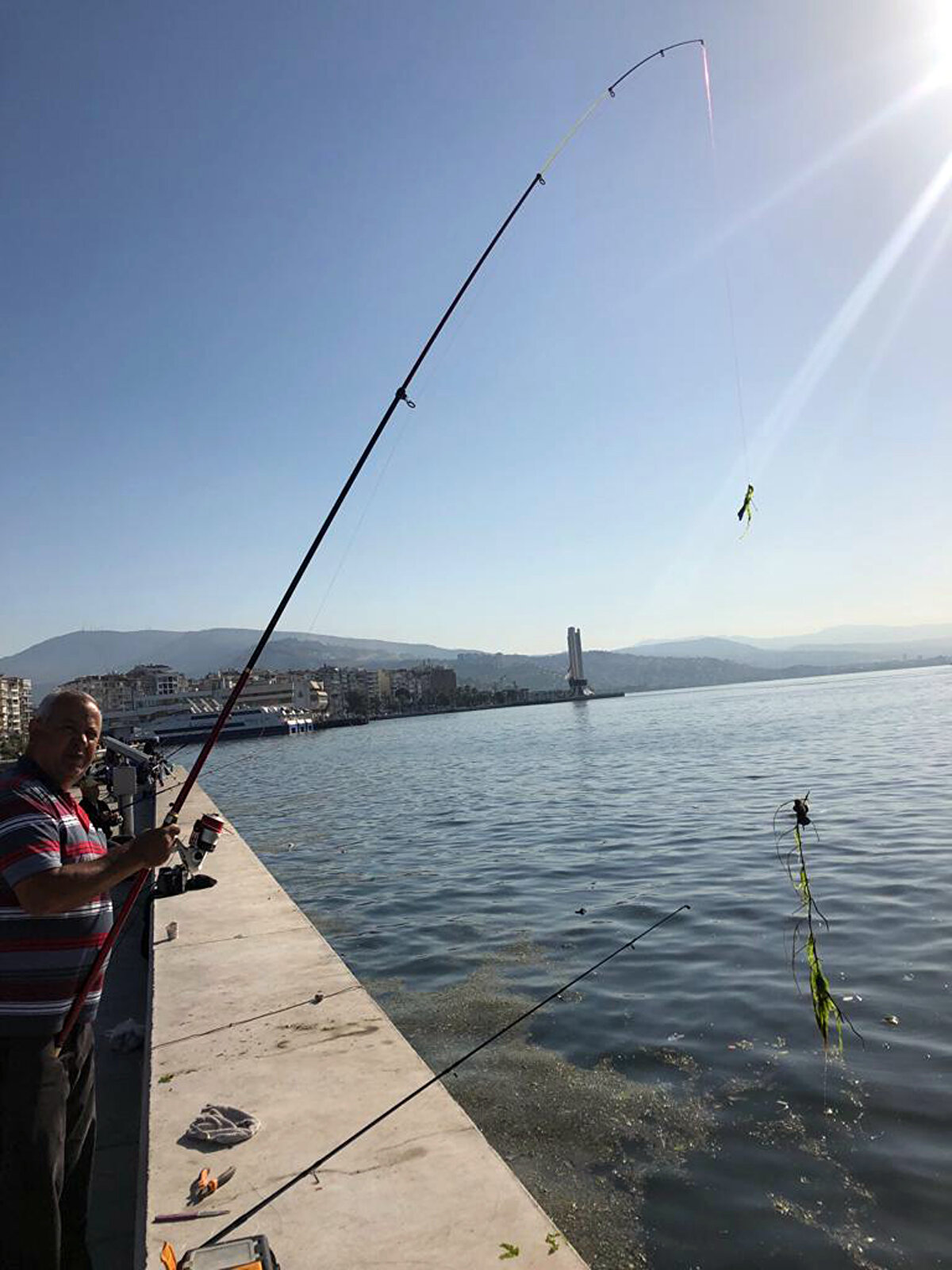 Temiz suda yetiştirilen veya kültürü yapılan deniz marullarının başta Uzak Doğu olmak üzere birçok ülkede kullanım alanının çok yaygın olduğunu da söyleyen Dr. Erol Kesici, "Tazesi salata olarak tüketilmektedir. Kurutularak cips, çorba ve benzeri yemekleri yapılabiliyor. Besin takviyesi, krem yapımının yanı sıra ağır metal, toksik analizleri yapıldıktan sonra biyogaz üretimi, gübre ve hayvan yemi olarak da kullanımı oldukça yaygındır" dedi.<br><br>