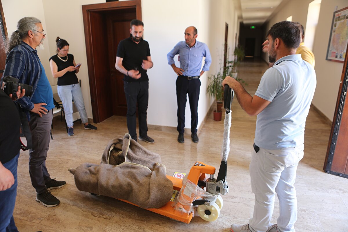 Tunceli Valiliği koordinesinde jandarma, emniyet ve müze yetkililerince özel bir ekip oluşturuldu. Yapılan çalışmalar ve duyuruların ardından, üzerinde işlemelerin olduğu 200 kilo ağırlığındaki 'Koç Başlı Mezar Taşı' için Buzlupınar köyünden gelen ihbarı değerlendiren ekipler, mezar taşını, üzeri farklı taşlarla kamufle edilmiş bir şekilde boş bir evin arkasında buldu.