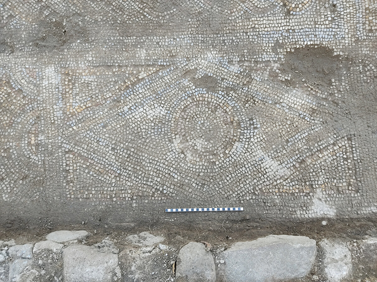 Ustura, bölgedeki arkeolojik çalışmaların daha da ilerleyeceğini, antik yapı kompleksi çerçevesinde farklı yapı kalıntılarına da rastlamayı umut ettiklerini belirtti.<br>