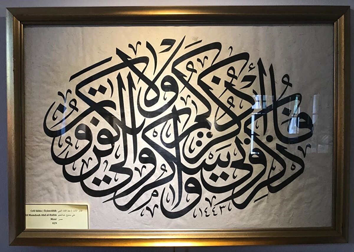 Ali Mamdouh Abd al-Halim, Mısır. Celî Sülüs, üçüncülük.