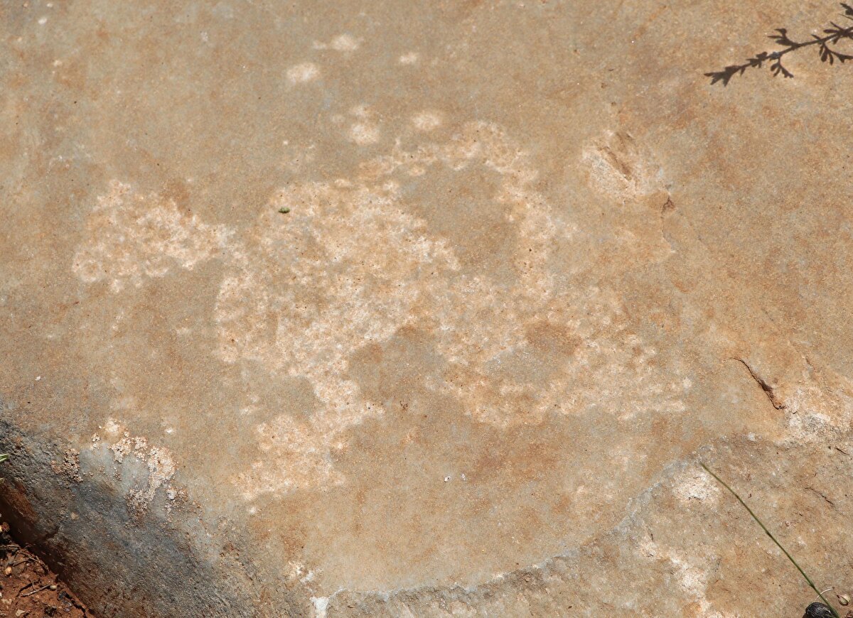 "Şu an bölgede yaklaşık 33 figür tespit ettik. Bu figürlerin ayrı ayrı önemi var. Figürlerin milattan önceki çağlardan günümüze yakın bir döneme kadar yapıldıklarına dair ipuçlarımız var. Genel şekillere baktığımızda Şaman motifleri ele alınmış. Bunların ortak özellik olarak bizleri Orta Asya'ya götürdüğü konusunda hem fikiriz." <br>