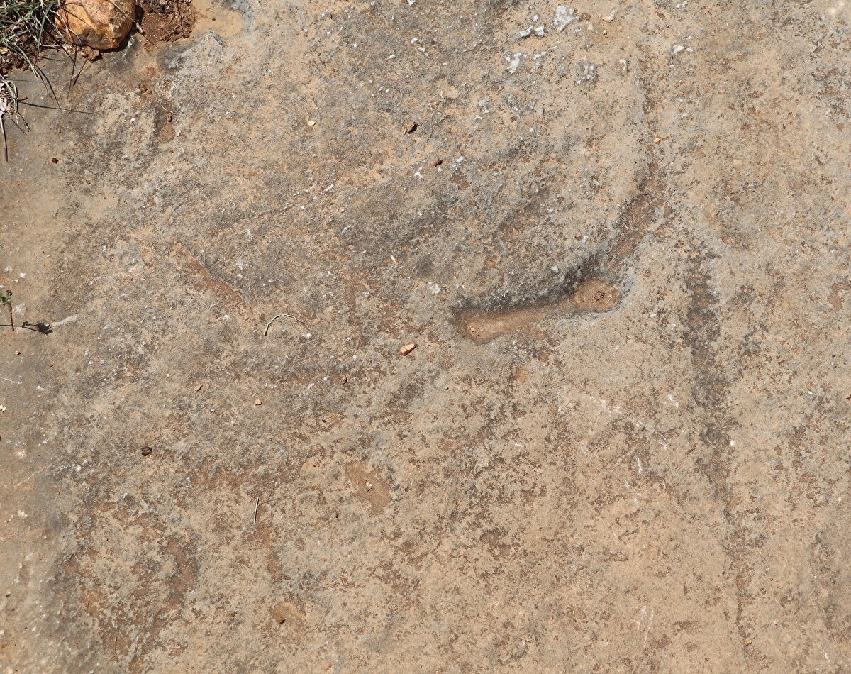 Resimlerin Türklerin 1071'den önce de Anadolu'ya geldiklerine dair bir kanıt olabileceğini savunan Beyazıt şöyle devam etti:<br>"1071 bizim muhteşem bir zaferimizle Anadolu'nun tapusunu aldığımız bir dönemdir ama 1071'den önce Anadolu'da Türkler var mıydı, bu bir tartışma konusuydu. Kaya resimleri tespitlerimizden net olarak söyleyebildiklerimizden yola çıkarak şunu diyebiliyoruz ki biz 1071'den önce de buradaydık."