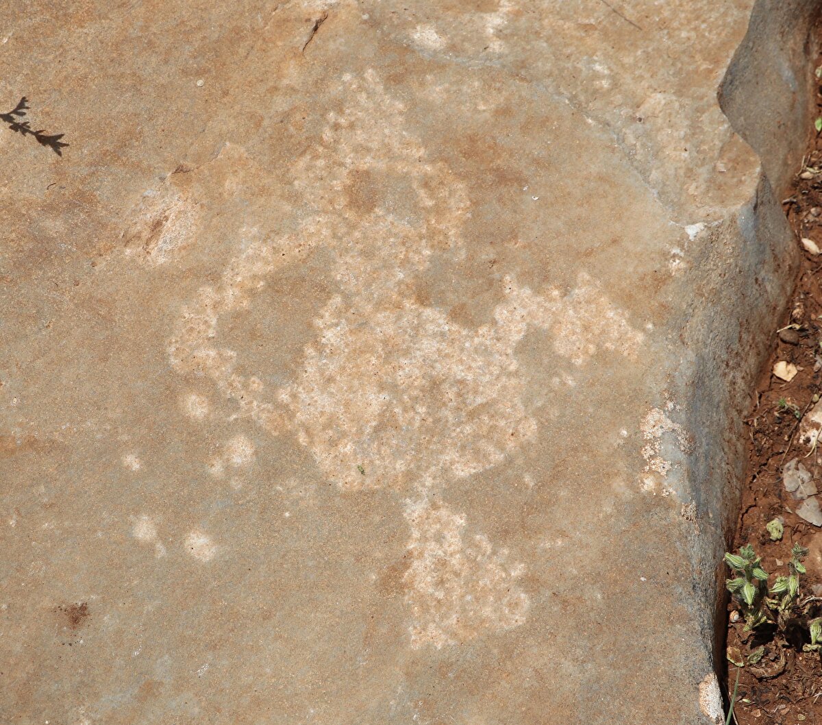 Prof. Dr. Mustafa Beyazıt, Türkiye'de 30'dan fazla noktada kaya resmi tespit edildiğini ve çalışmaların yapıldığını söyledi.<br>Bölgede bulunan kaya resimlerinin "tamga" (Tarihte Türkler tarafından kullanılmış özel işaretler) olabileceğini düşündüklerini dile getiren Beyazıt, şu bilgileri paylaştı: