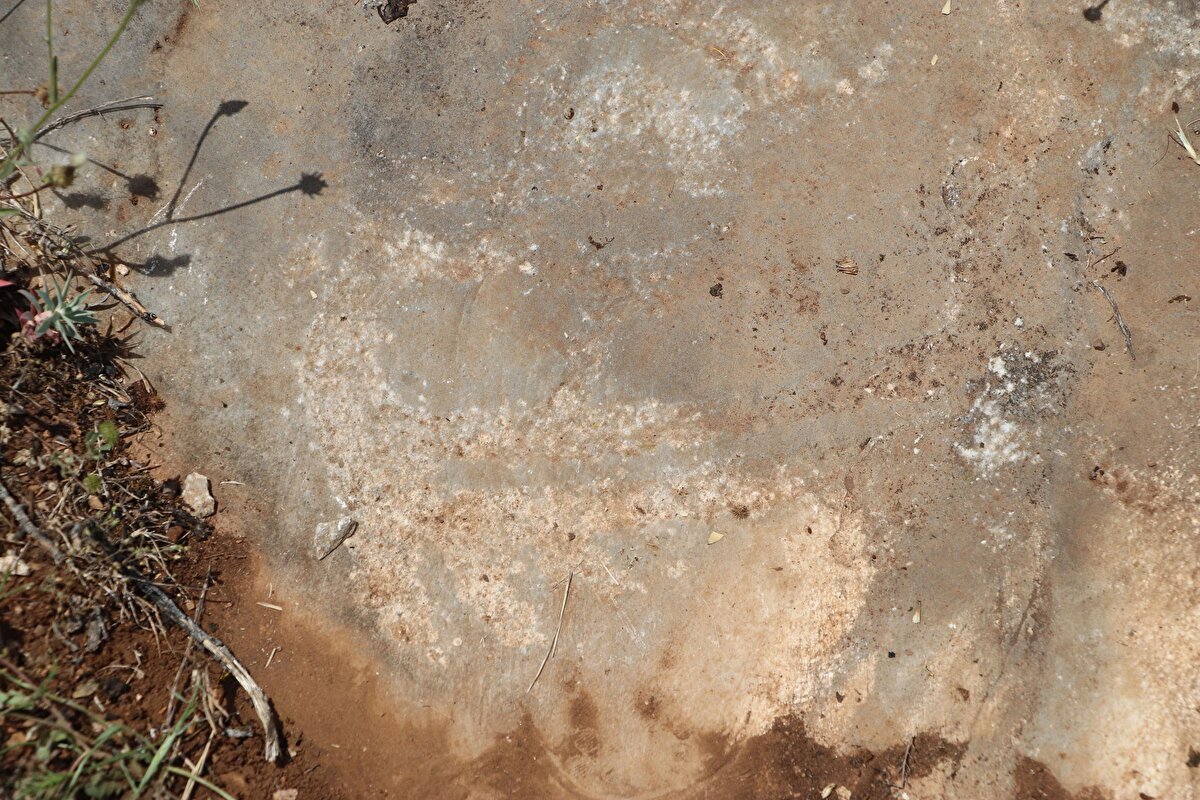 Yurt dışında kaya resimlerini inceleyen merkezler bulunduğunu belirten Kutluhan, "Biz de en kısa zamanda bir merkez kurmayı planlıyoruz. Çünkü Anadolu tarihinin en derin bilgisi kaya resimlerinde saklı. Eğer biz bu tarihi çözebilirsek o zaman nereden geldiğimizi daha iyi anlama noktasında ulaşacağız. Bu bizim başarımız olacak." ifadesini kullandı.<br><br>