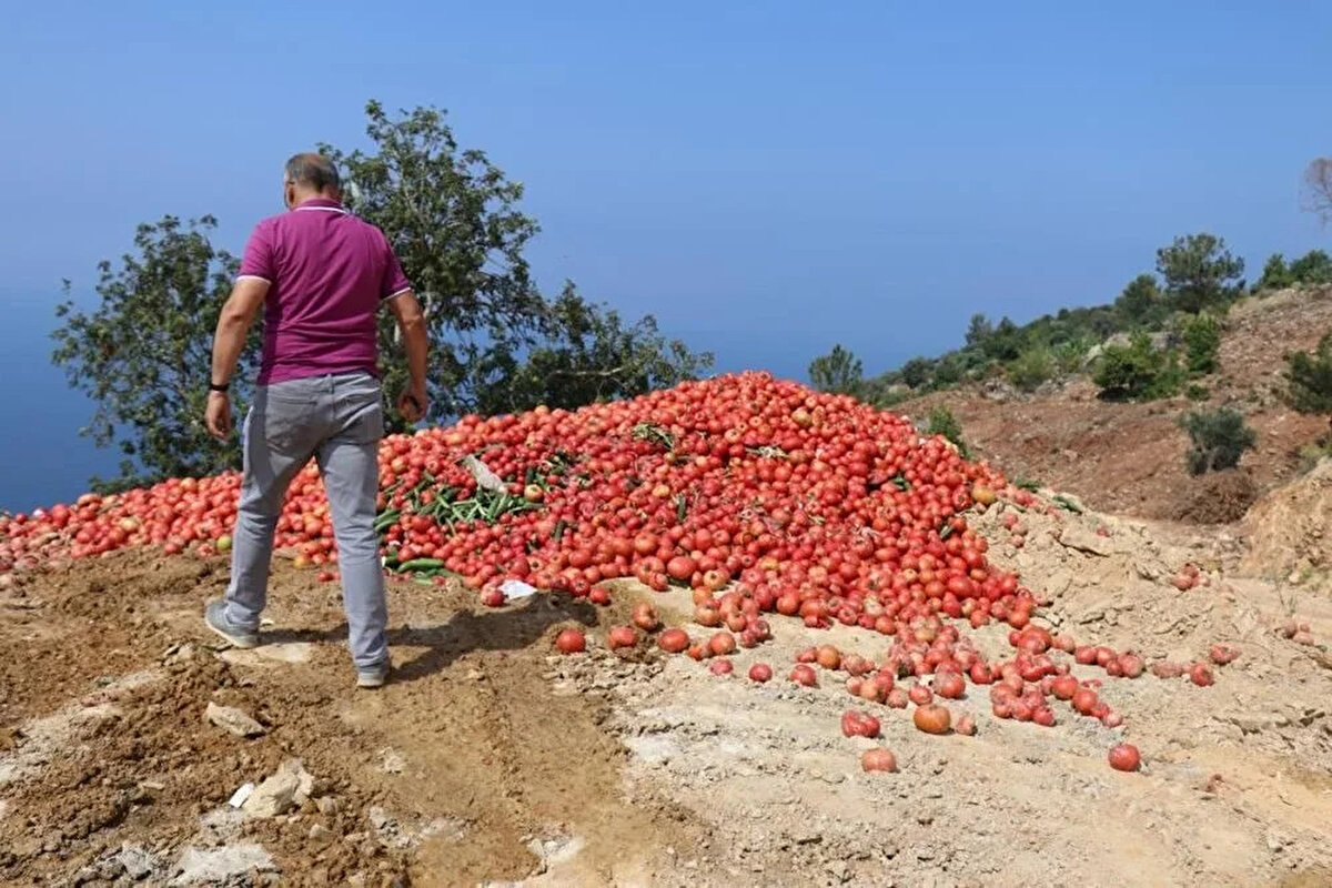 Ticaret Bakanı Mehmet Muş, Antalya'da domates ve salatalıkların çöpe döküldüğüne yönelik görüntülerin sosyal medyada yer alması üzerine, Ticaret İl Müdürlüğünün inceleme başlattığını bildirdi.<br><br>Muş, sosyal medya hesabından, çöpe dökülen domates ve salatalık görüntülerine yönelik paylaşımda bulundu.<br><br>Bakan Muş, paylaşımında, "Sosyal medyada yer alan domates ve salatalıkların çöpe dökülmesi paylaşımı üzerine, Antalya Ticaret İl Müdürlüğümüz ivedi şekilde inceleme başlatmıştır. Vatandaşımızı mağdur etmeye yönelik bir fiilin tespiti durumunda Bakanlığımızca en ağır idari yaptırım uygulanacaktır" dedi.<br><br>