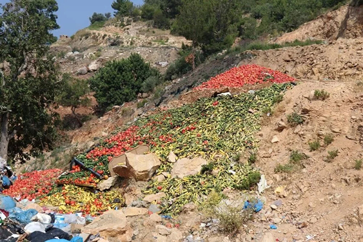 Bu sebzelerin işlenme aşamasında sofraya konulmayacak ürünler olduğunu söyleyen Fidan sözlerine şu şekilde devam etti:<br><br>"Çürük, kurtlu ürünler ayrılıyor. Bu ürünler akşam üzeri belediyenin çöp konteynerlerine konuluyor. Belediye de bunları uygun bir zamanda belediye çöplüğüne götürüp, döküyor. Bu ürünler sofraya konacak şekilde olsa döker miyiz? Hayır dökmeyiz. Bu paylaşımı yapan kişi 'Bu ürünü ben yerim' diyorsa, gelsin ücretsiz kendisine verebiliriz. Bu ürünler sofraya uygun değil. Bu ürünleri ne dış ne de iç piyasaya veremeyiz."