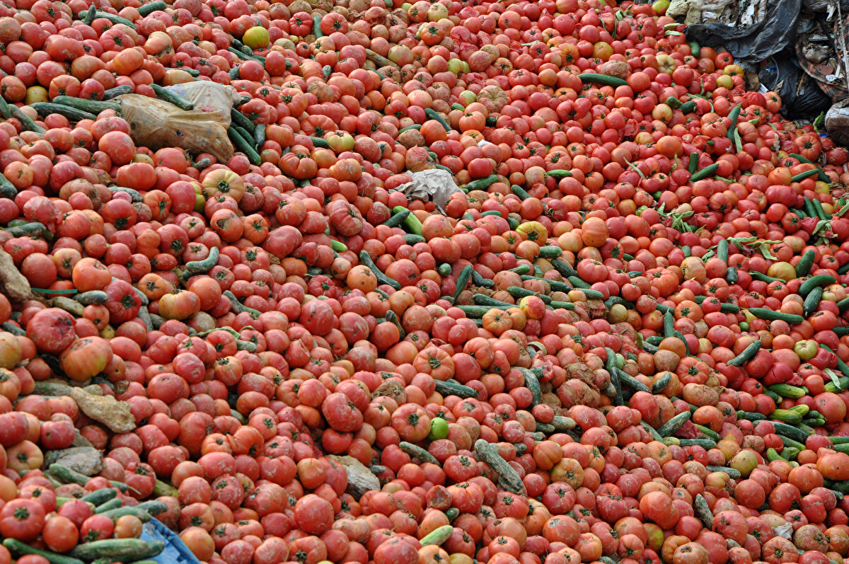 Durumu 'hainlik' olarak nitelendiren kişi, "Ben haberci değilim, gazeteci değilim, sıradan bir vatandaşım. Ürünlerin hemen hemen hepsi yeni dökülmüş. Burada kamyonlarca, tonlarca ürün var" dedi.<br><br>