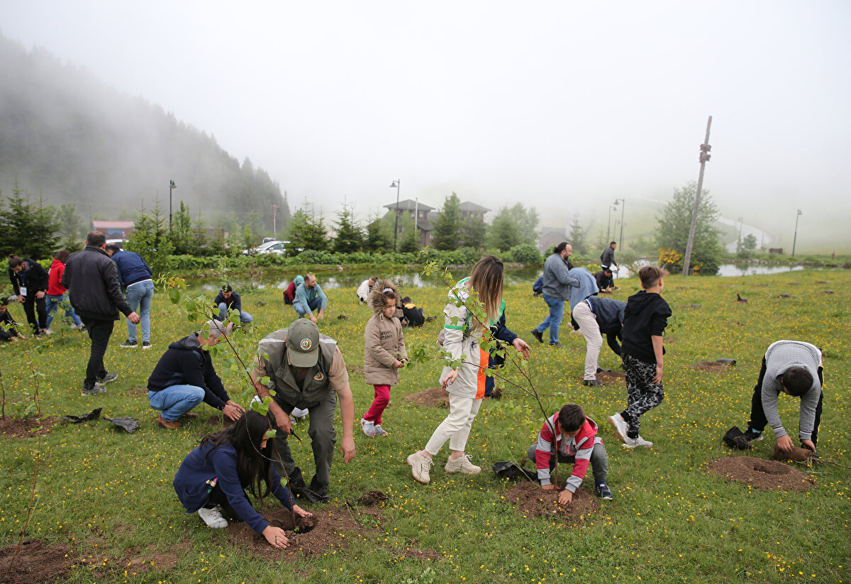 Dereli ilçesindeki Koçkayası Tabiat Parkı'nda faaliyet gösteren bir otelin "Geleceğe Bir Fidan Dik" sloganıyla organize ettiği etkinlikte, Boztekke İlkokulu öğrencileri 200 fidanı toprakla buluşturdu. Fidan dikilen alana ise "Çocuk Hatıra Ormanı" adı verildi.