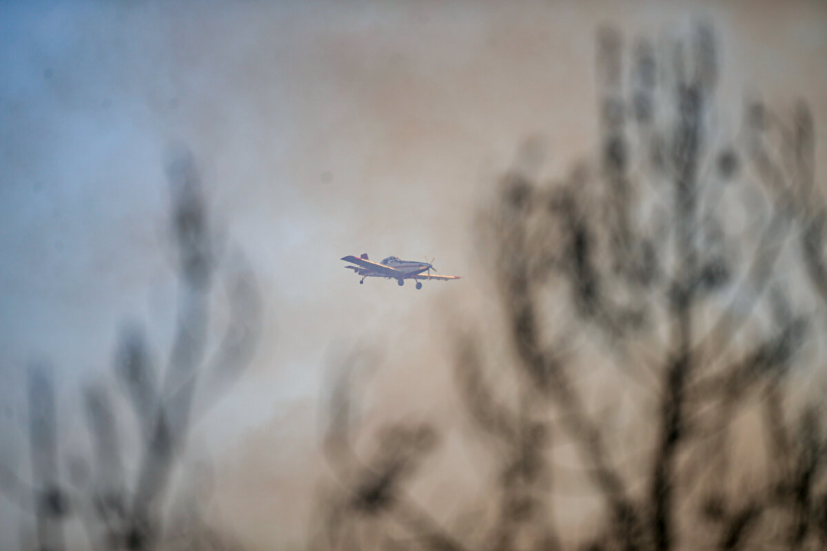 Muğla'nın Marmaris ilçesinde ormanlık alanda çıkan yangına müdahale sürüyor.<br><br>Hisarönü Mahallesi Bördübet mevkisinde ormanlık alanda henüz belirlenemeyen nedenle yangın çıktı. Alevler rüzgarın da etkisiyle kısa sürede yayıldı. <br><br>Orman Genel Müdürlüğü, havanın aydınlanmasıyla birlikte 20 helikopter ve 14 uçaklık hava gücüyle Marmaris'teki yangına müdahaleye başladı.