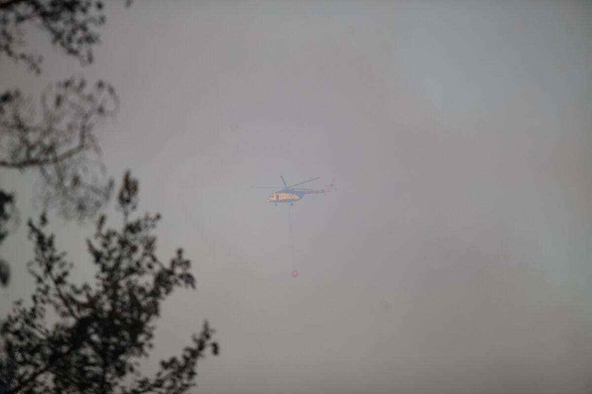 Tarım ve Orman Bakanı Vahit Kirişci, Marmaris'e hareketi öncesi yaptığı açıklamada ise, Orman Genel Müdürlüğü yetkililerinin (OGM), Hisarönü Mahallesi Bördübet mevkisindeki ormanlık alanda 20.02'de başlayan yangına 8 dakikada müdahale ettiğini belirtti.<br><br>