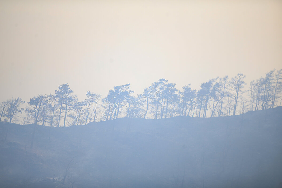 Cumhurbaşkanlığı İletişim Başkanlığı'ndan yapılan açıklamada da, Marmaris'te süren yangın hakkında çıkan haberlerin resmi kanallardan takip edilmesi gerektiği belirtilerek, "Marmaris'te süren ve devletimizin tüm imkânlarıyla, kurum ve kuruluşlarımızın en üst düzeyde koordinasyonuyla müdahale ettiği yangın üzerinden kamu düzenimizi hedef alan her tür dezenformasyon, provokasyon ve manipülasyona karşı resmi kanalların takip edilmesi önem arzetmektedir" denildi.<br><br>
