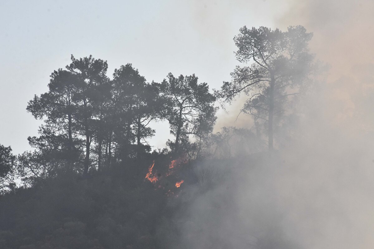 "Geçtiğimiz yaz ağustos ayında bu alanın hemen güneyinde büyük bir yangın yaşamıştık. Yaklaşık 70 bin hektarlık bir alan yanmıştı. Bu sene de bu bölgede bir yangın başladı. Burası Bördübet Yaban Hayatı Geliştirme Sahası olarak 2020 yılında ilan edildi” diyen İlemin, sözlerinin devamında şunları kaydetti: