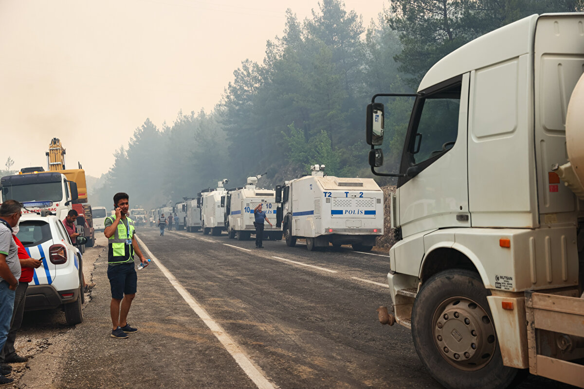 Şüpheli S.A'nın ilk sorgusunda, ailevi sorunlar yaşadığını, babasının bölgede bulunan arazisini sattığını, babası tarafından dışlandığını ve bu nedenle yangın bölgesinde 3 ayrı noktaya sigara izmariti atarak yangın çıkardığını itiraf ettiği öğrenildi. Ayrıca S.A'nın ateşin içine girerek intihar etmek istediğini söylediği belirtildi.<br><br>