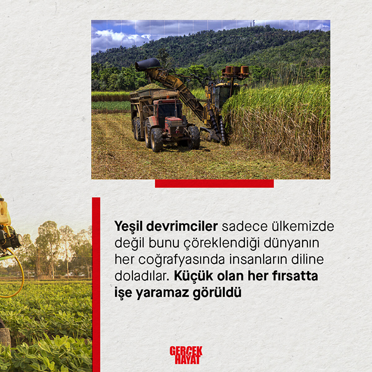 K&#252;&#231;&#252;k olan her fırsatta işe yaramaz g&#246;r&#252;ld&#252;