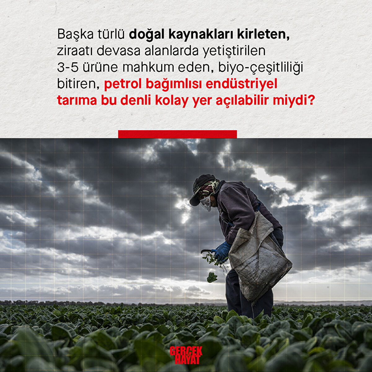 Petrol bağımlısı end&#252;striyel tarıma bu denli kolay yer a&#231;ılabilir miydi?