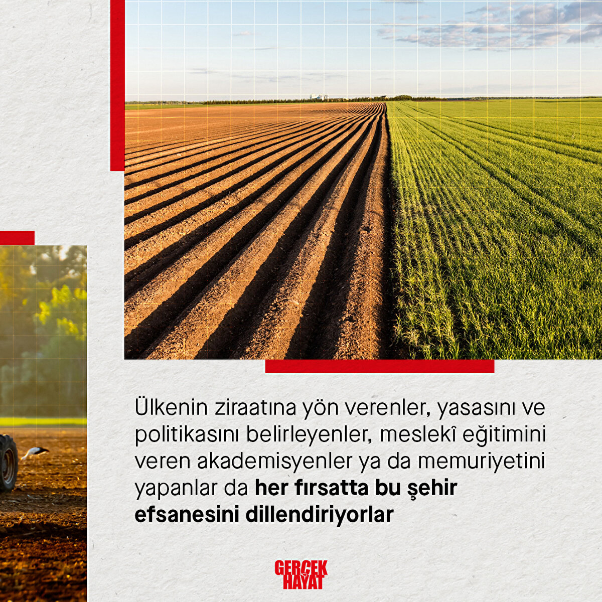 Akademisyenler de her fırsatta bu şehir efsanesini dillendiriyorlar