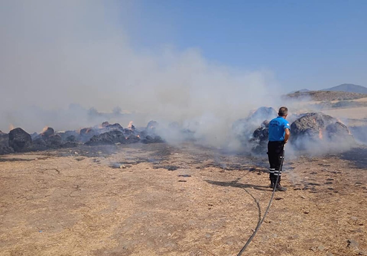 21 Haziran'da başlayan yangın, KKTC'nin Mersinlik, Ağıllar, Ardahan ve Topçuköy köylerini kapsayan yaklaşık 20 bin dönümlük bir alanda etkili olmuştu.<br>