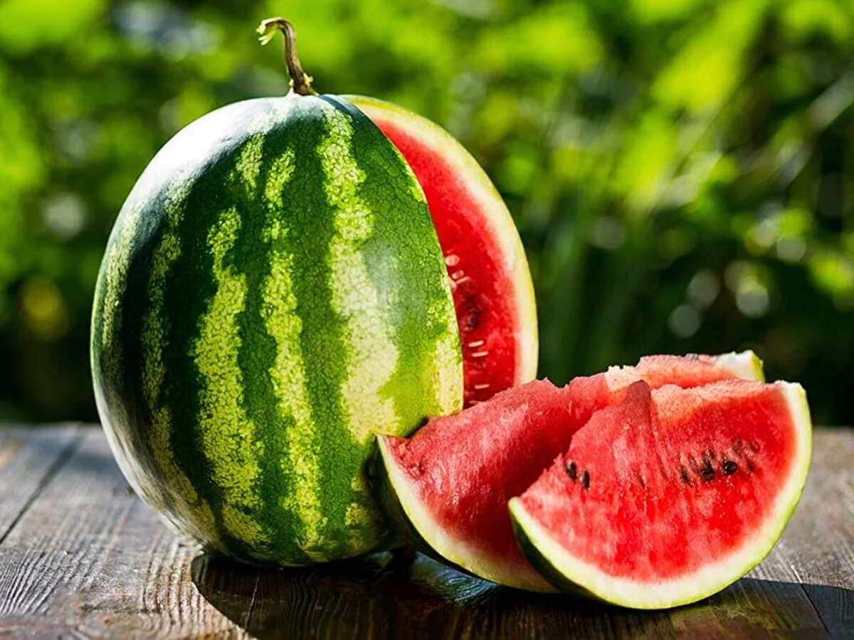 Sindirim sisteminin sağlıklı çalışmasına destek oluyor… Kalp ve kanser hastalıklarından korunmada fayda sağlıyor… Böbrek ve cilt sağlığımız üzerinde önemli işlevler üstleniyor… Uykusuzluğa karşı savaşıyor… Lezzeti ve bol su içeriğiyle yaz aylarının en favori meyvelerinden olan karpuz, A ile C vitaminleri, potasyum, magnezyum ve kalsiyum gibi minerallerin yanı sıra likopenden de zengin olması sayesinde sofralarımıza adeta sağlık taşıyor. Ancak karpuz tüketirken bazı kurallara dikkat etmek gerekiyor, aksi halde yarardan çok zarar verebiliyor! Beslenme ve Diyet Uzmanı Ezgi Hazal Çelik, glisemik  indeksi yüksek olması nedeniyle kan şekerini hızla yükseltebildiği için karpuzun fazla tüketilmemesi gerektiğine dikkat çekerek, “Diyabet ve insülin direnci gibi bir hastalığınız varsa karpuzu günde sadece bir kez 200 gramı geçmeyecek şekilde ve haftada en fazla 3-4 kez tüketmeye özen gösterin” diyor. Beslenme ve Diyet Uzmanı Ezgi Hazal Çelik, karpuz tüketirken sağlığınızı riske atmamak için dikkat etmeniz gereken 6 kuralı anlattı; önemli öneriler ve uyarılarda bulundu.<br><br>