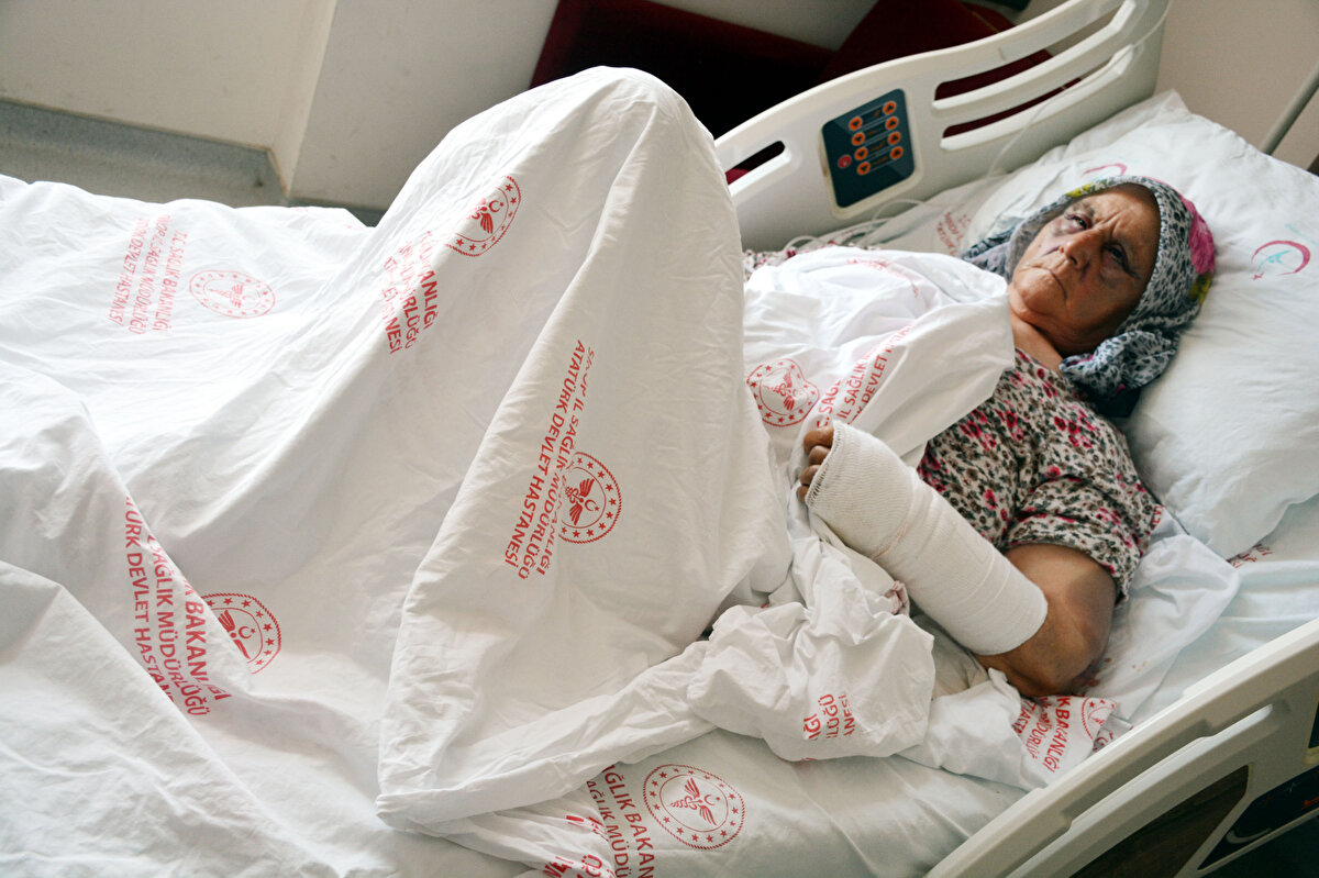 Bunun üzerine Yaşar Bozel, anne ve babasına saldırdı, 2 saat boyunca baston, koltuk değneği ve balta sapıyla dövdü. Gelen sesleri duyan komşuların ihbarı üzerine adrese jandarma ve sağlık ekipleri sevk edildi. Sağlık ekipleri, Bozel çiftini Atatürk Devlet Hastanesi'ne kaldırdı. Vücutlarının birçok yerinde kırık ve morluklar oluşan Fatma ve Kemal Bozel çifti, oğullarından şikayetçi oldu. Yaşar Bozel, jandarma ekiplerince gözaltına alındı.