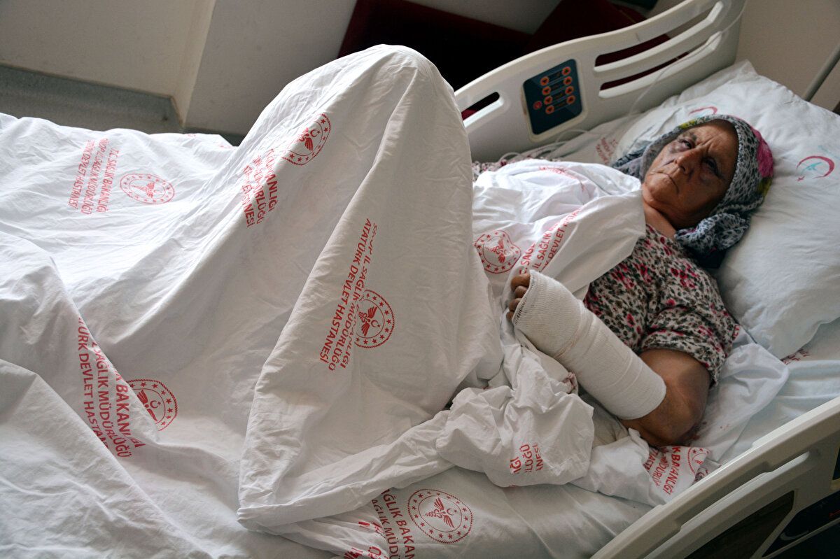 Olay, 28 Haziran'da Dikmen ilçesine bağlı Kanlıçay köyünde meydana geldi. Yaşar Bozel, otomobilini tamir ettirmek için annesi Fatma ile babası Kemal Bozel'den para istedi. Bozel çifti, paraları olmadığını söyledi.