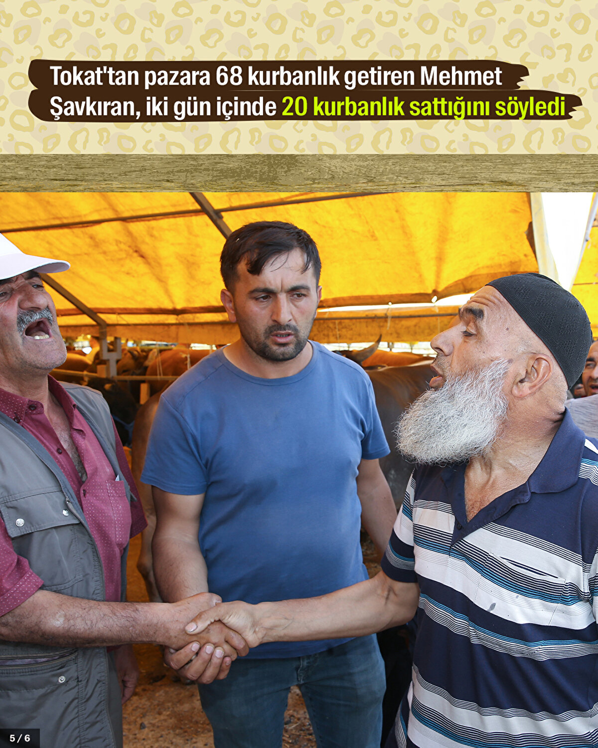 Tokat'tan pazara 68 kurbanlık getiren Mehmet Şavkıran, iki gün içinde 20 kurbanlık sattığını söyledi