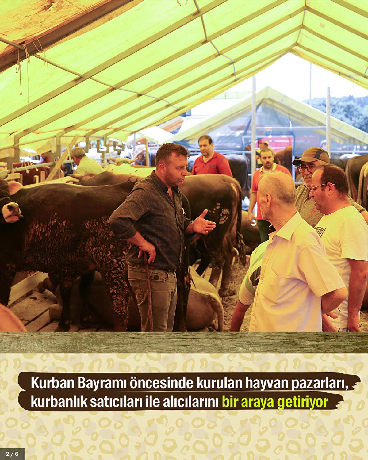 Kurban Bayramı öncesinde kurulan hayvan pazarları, kurbanlık satıcıları ile alıcılarını bir araya getiriyor