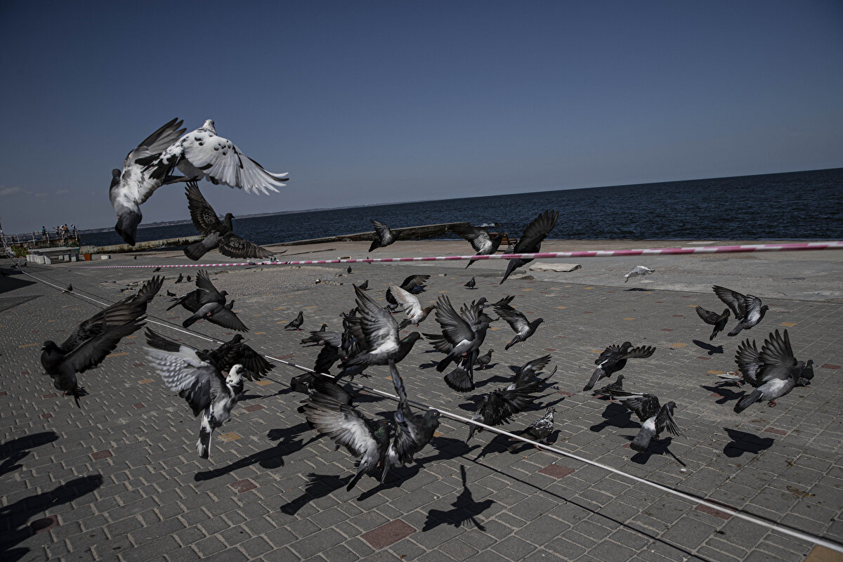 Karadeniz'deki mayınların sadece gemiler için değil, insanlar için de büyük tehlike taşıdığını dile getiren Gumenyuk, bugüne kadar denize giren iki kişinin hayatını kaybettiğinin, birinin ise yaralandığının altını çizdi.<br>