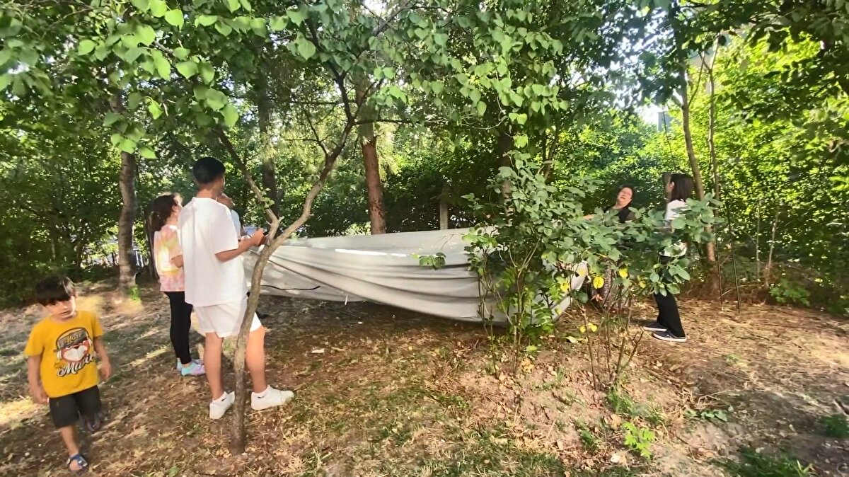 "ÇOK DUYGULANDIM"<br>Mahalle sakini Kibriye Özer, "Dışardan bir maymun geldi. Direkt ağaca çıktı. Ağaçtan indirmeye çalıştık ama indiremedik, belediyeyi aradık. Belediye ekipleri geldi. Bayağı uğraştılar almak için, ancak sonunda alıp götürdüler. Ben de fotoğraf çektirdim. Çok duygulandım. Bayıldığı için üzüldüm ama en azından indirdik. Sevimli bir hayvandı" dedi.