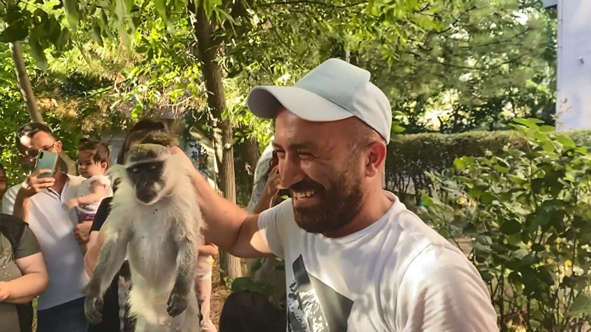 "ÇOK SEVİMLİYDİ"<br>Maymunun çok sevimli olduğunu söyleyen Emine Sarıgül, "Biz evden çıkar çıkmaz maymun gördük. Eşim peşinden koştu. İlerledik sonra maymun ağaca tırmandı. Daha sonra belediye ekiplerini aradık. Bayağı uzun süren uğraşlar sonunda düşürdüler. Biz de fotoğraf çekindik. Çok sevimliydi. Daha sonra alıp götürdüler" diye konuştu.   