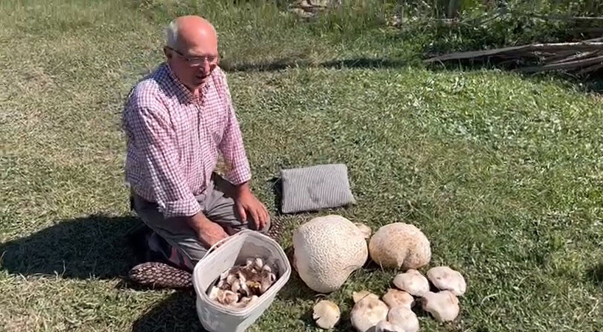 Mantarı sabah saatlerinde bulduğunu söyleyen Adıgüzel, "Bunu çok yükseklerde ve çalıların içerisinde buldum. Çok değerli bir mantar. Yüksekte bunun yanında bir kaç tane daha benzer büyüklükte vardı ama ağırlık olacağı için getiremedim" dedi.
