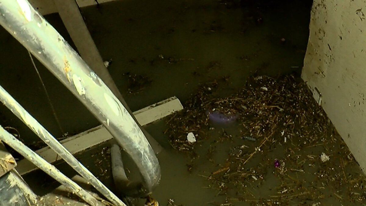 "HERŞEYİMİZ MAHVOLDU" <br>Evini su basan Azad Verdiyev, "Belediye şu anda yardımcı oluyor. Geceden beri buradayız yani. Hiç uyumadık. Evden zor kurtarıldık. Her şeyimiz mahvoldu zaten. Şu anda suyunu çekiyorlar. Gitti her şeyimiz. Gece saat birde yağmur başladığında oldu. Yarım saatin içerisinde her yer su altında kaldı. Şoktaydım ne yapacağımı bilmedim. Kendim zor kurtardım" diye konuştu.