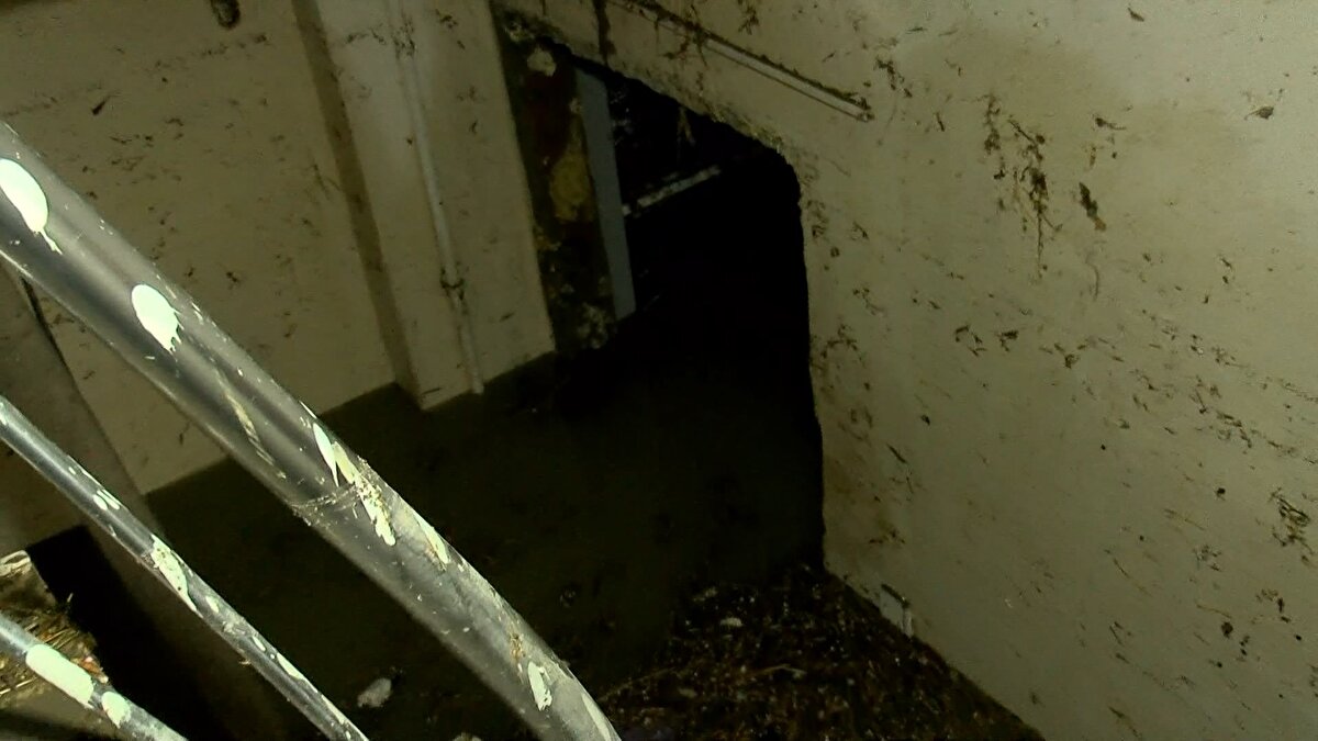 İbrahim Şahin ise, "Allah'tan gelen bir şey yapacak bir şey yok. Bir anda bastı su oldu her taraf. Bir anda yağdı, doldu. Her yer de temizlik yapılıyor. İçeri girme şansı yok. Buradan bakıyorsun görüyorsun" dedi. Emrah Dede de sel felaketini alıştıklarını belirterek "Burada komşularla en eski insanlarız. Bu bizim kaderimiz yani. Bizi kaderimize terk ettiler. Saat 00.30 gibi başladı. Alt katlarda önceki selde bu karşı binada bir kişi ölmüştü. Ondan sonra yasakladılar ama emlakçılar kiraya veriyorlar" ifadelerini kullandı. <br>