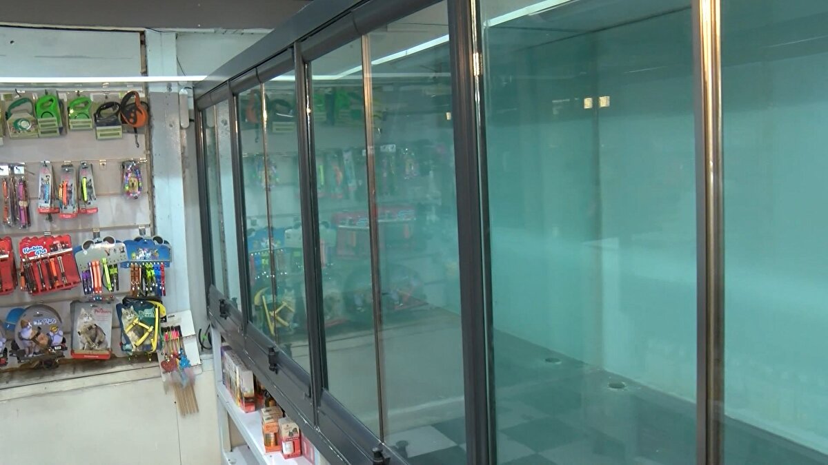 "VİTRİNDEN KALKARSA, MERDİVEN ALTINA İNER"<br>Evcil hayvan mağazası sahibi Okan Alp, yasağın kendilerine kötü yansıdığını ifade ederek "Dükkanı boşalttık. Kedi ve köpek satışının yasaklanmasının sonucu kötü olacak, merdiven altına inecek. Burada hayvanları veteriner kontrol edip veriyordu. Kimlikli ve aşılı hayvan satıyorduk. İnternetten satış yapılacak. Fakat köpeğe bir şey olduğunda karşında muhattap bulamayacaksın. Sonuçları daha kötü olacak. Müşteri katalogdan bakacak, beğenecek. Sipariş üzerine köpek getireceğiz, faydalı bir uygulama değil. İnsanlar görerek, içine sinerek alıyordu hayvanı" diye konuştu.