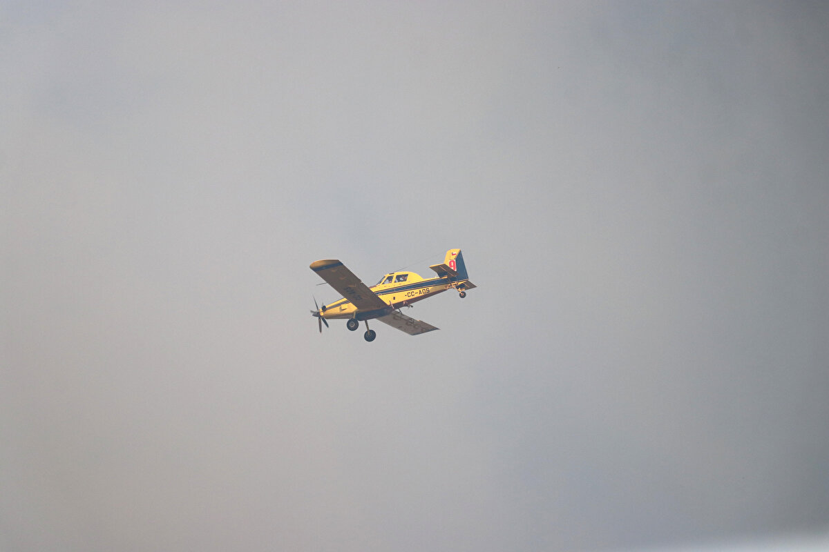 Çok sayıda orman işçisi, arazöz ve iş makineleriyle yangının yerleşim birimlerine ilerlememesi için tedbir alındı ancak alevler bazı yazlık evlere kadar ulaştı, hasar görenler oldu. Çok sayıda ev de tahliye edildi.