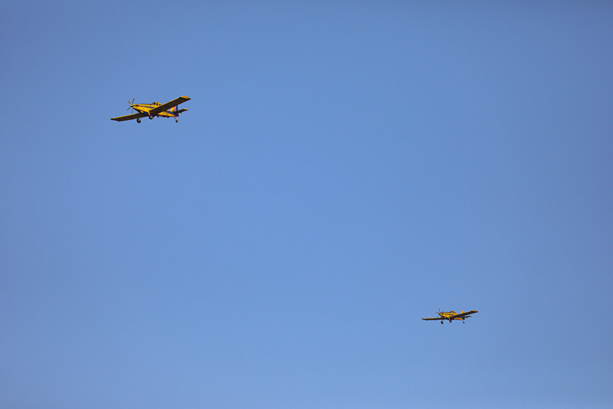 Alaçatı Mahallesi Kutlu Aktaş Barajı yanındaki makilik alanda yangın çıktı.<br><br>İzmir Orman Bölge Müdürlüğü'ne ait 40 arazöz, 11 yer ekibi, 9 dozer ile İzmir Büyükşehir Belediyesine ait itfaiye araçlarıyla yangına müdahale ediliyor.