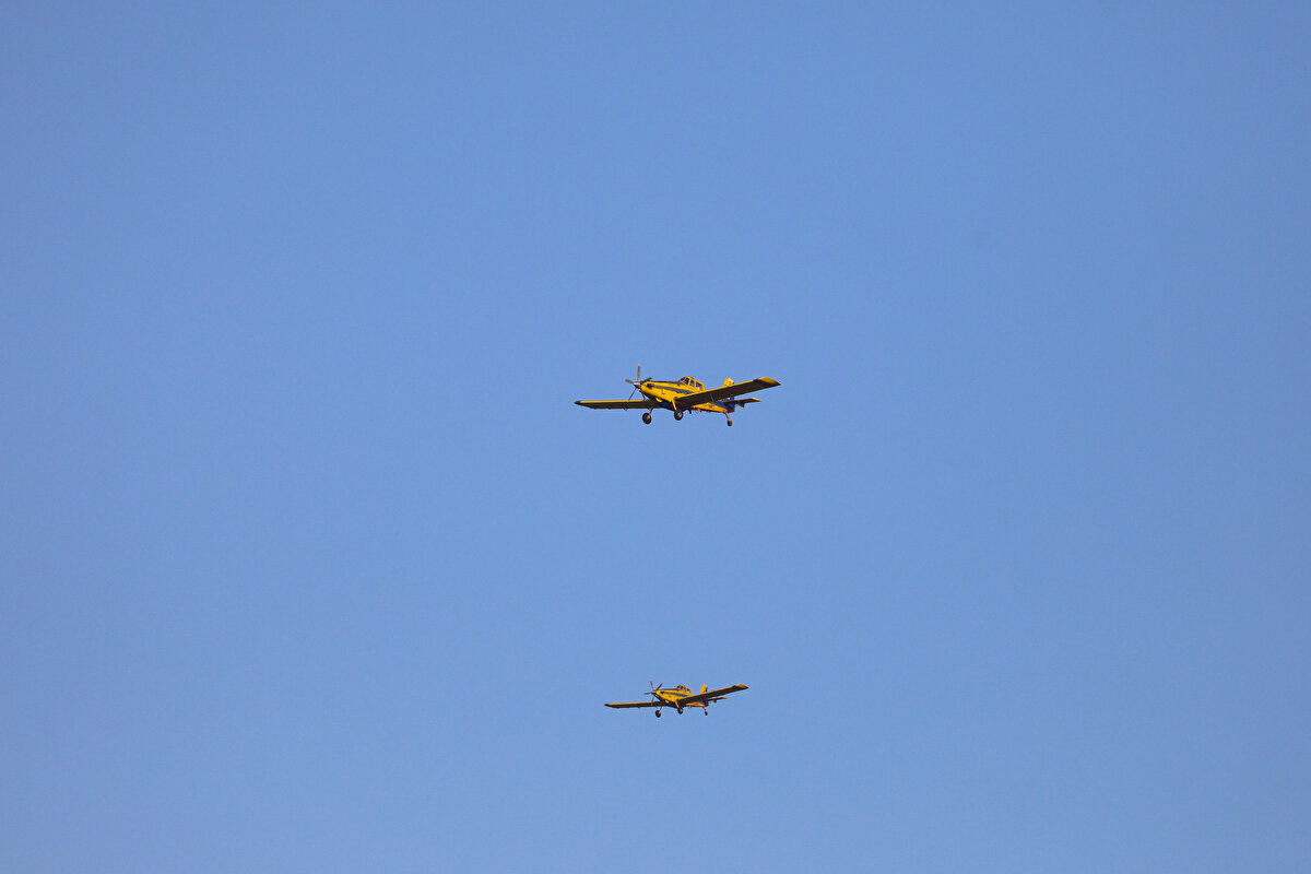 İzmir'in Çeşme ilçesinde makilik alanda dün öğle saatlerinde çıkan yangına karadan müdahale ediliyor.
