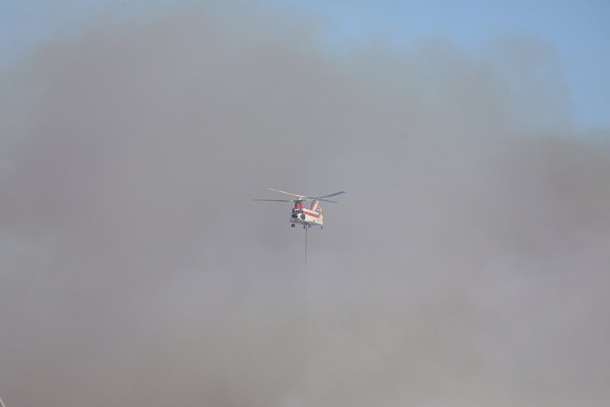 Öte yandan, İzmir Orman Bölge Müdürü Zafer Derince ile bölgeye inceleme yapmak için gelen İzmir Valisi Yavuz Selim Köşger açıklama yaptı.<br><br>