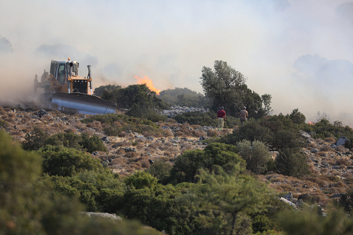 Yangının bir sivil toplum kuruluşu tarafından çalışmaları sürdürülen hayvan barınağında çalışan işçilerin kaynak makinesi kıvılcımlarından çıktığı bilgisinin yer aldığı açıklamada, "Cumhuriyet savcısının talimatı üzerine olayla ilgili 7 inşaat işçisi yakalanmış ve haklarında tahkikat başlatılmıştır" ifadeleri kullanıldı.<br><br>