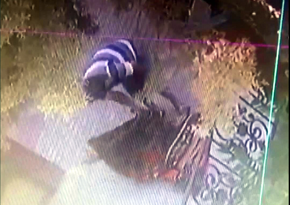 "10 BİN DOLAR DEĞER BİÇİLMİŞTİ"<br>Ercan Dede, “Pazar günü balkona astığımız halının yerinde olmadığını, düştüğünü gördük. Halı 100 yılın üzerinde dedemden bana hatıra kalmış. Halı Ardahan'da kök boya ile yapılmış. Güneşte solmaz. Halının manevi değeri çok yüksek. Çalan kişi çok değerli olduğunu bilse belki başka bir yere götürür, saklardı. Basmaya kıyamadığımız bir halı. Kuş burnu kökünden boyanmış. Yeni nesil bu halıyı yapamaz. 2014'te 10 bin doların üzerinde değer biçilmişti. Evde gözüm gibi bakıyorum" diye konuştu. 