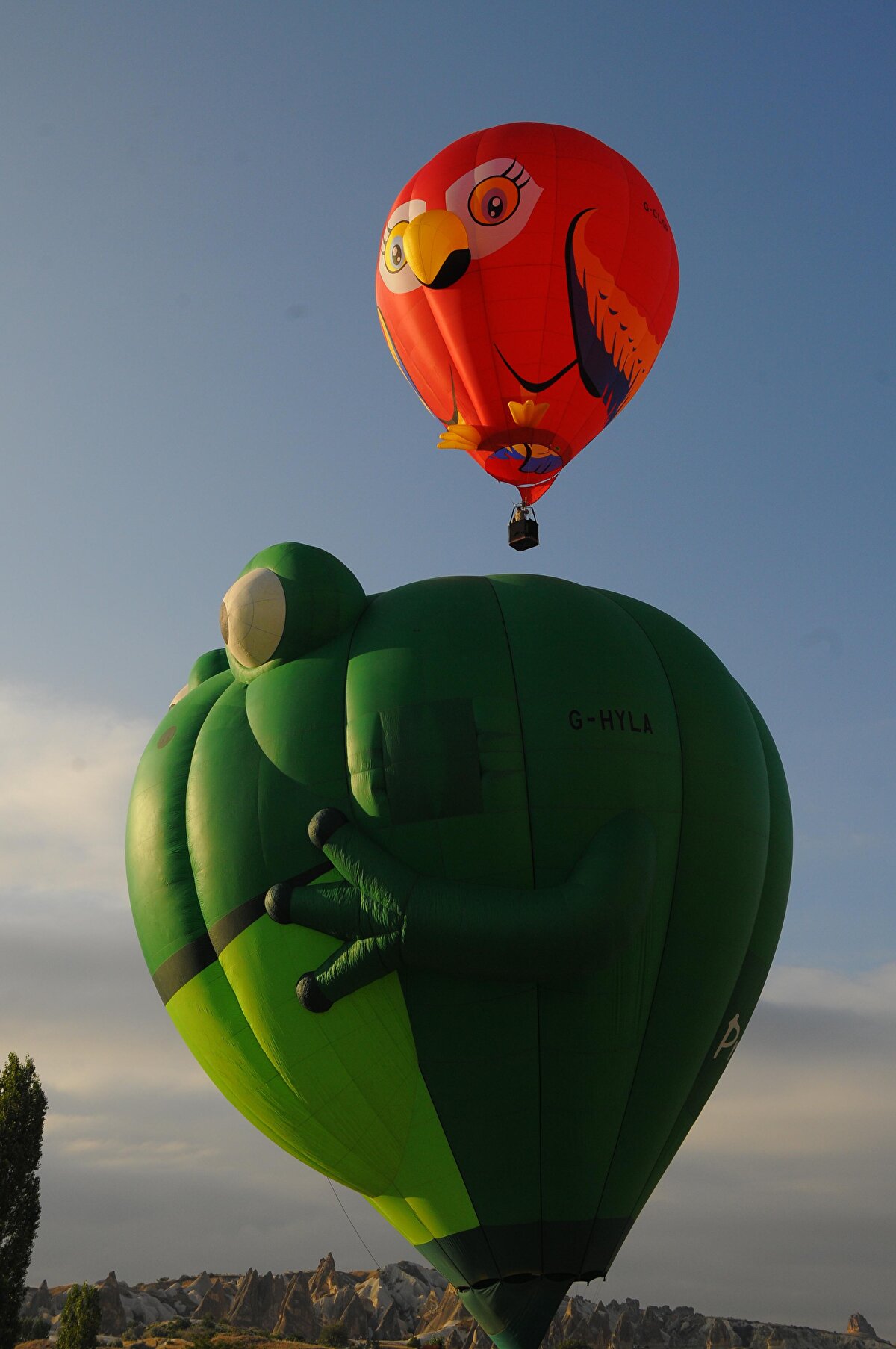 Nevşehir'de organize edilen etkinlik kapsamında, sıcak hava balonları Göreme beldesindeki festival alanında renkli görüntüler oluşturdu.<br><br>