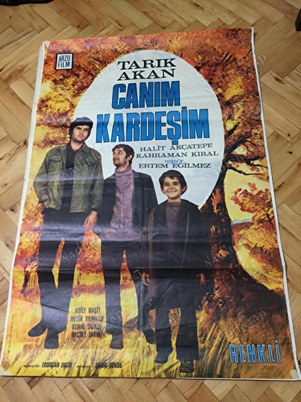 Kötü durumlarına rağmen restoranlarda yemekler yedirirler, lunaparka götürürler ve her isteğini yerine getirirler. Sadece, Kahraman'ın çok istediği televizyonu alamazlar. Televizyonu almak için ellerinden gelen her şeyi yaparlar ama bir türlü alamazlar. 